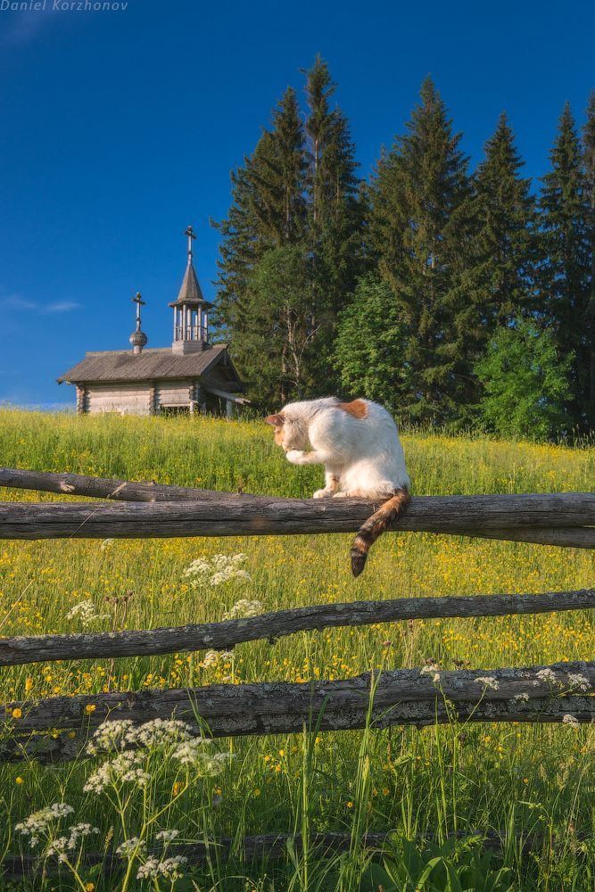 Фото из сети / Деревенский пейзаж