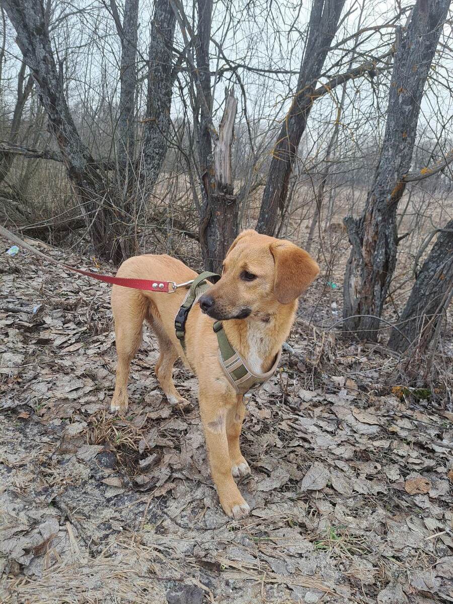 Руна -"золотой" ребёнок😂😍