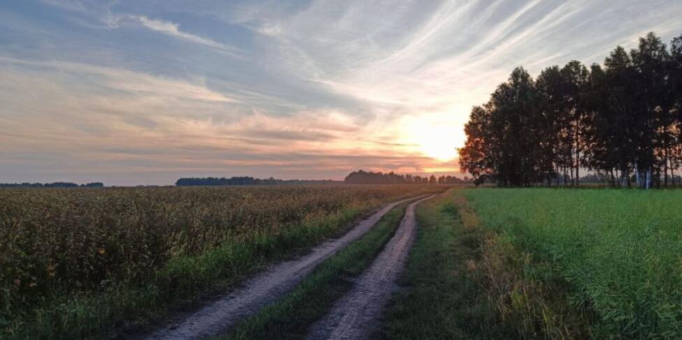    Фото из архива редакции