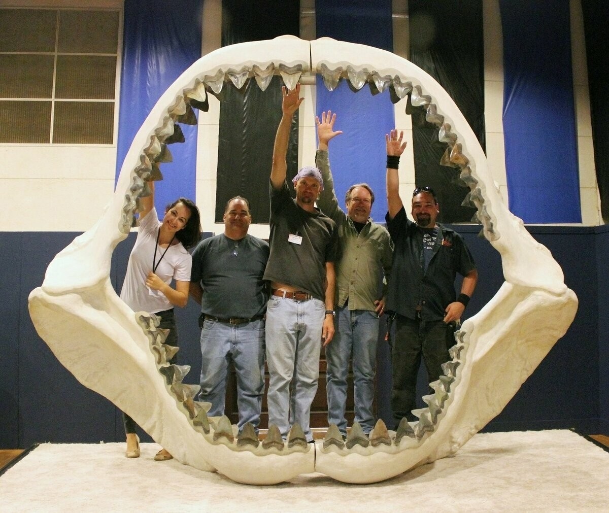 Эти челюсти выдумка