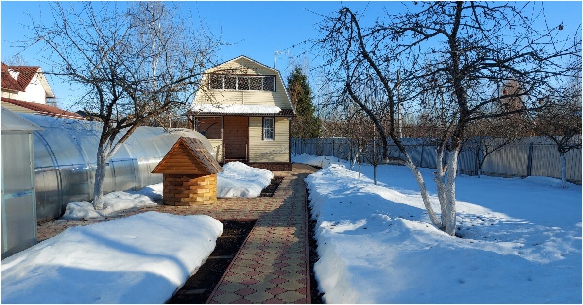 Фото взято из открытого источника