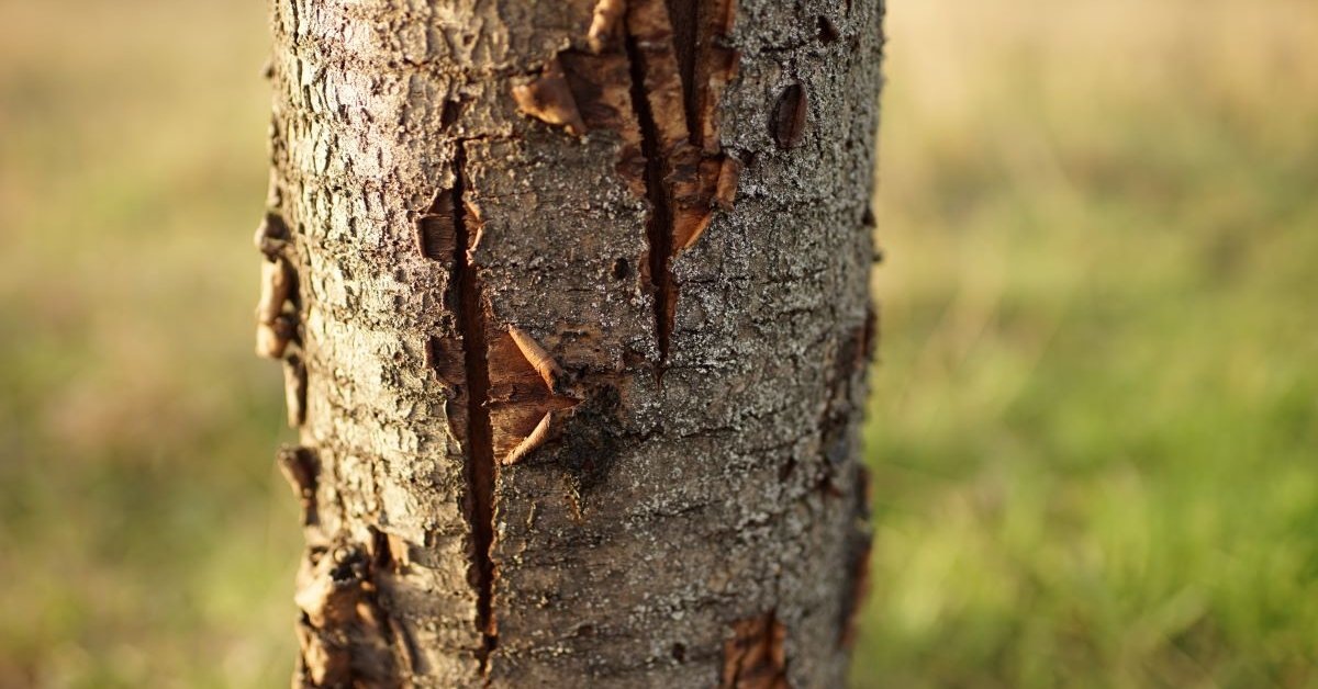 Фото взято из открытого источника