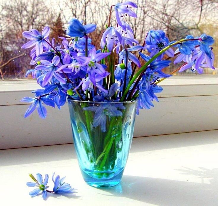 картинка из интернета