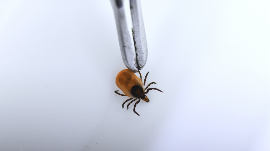    Фото: © РИА Новости/Павел Лисицын