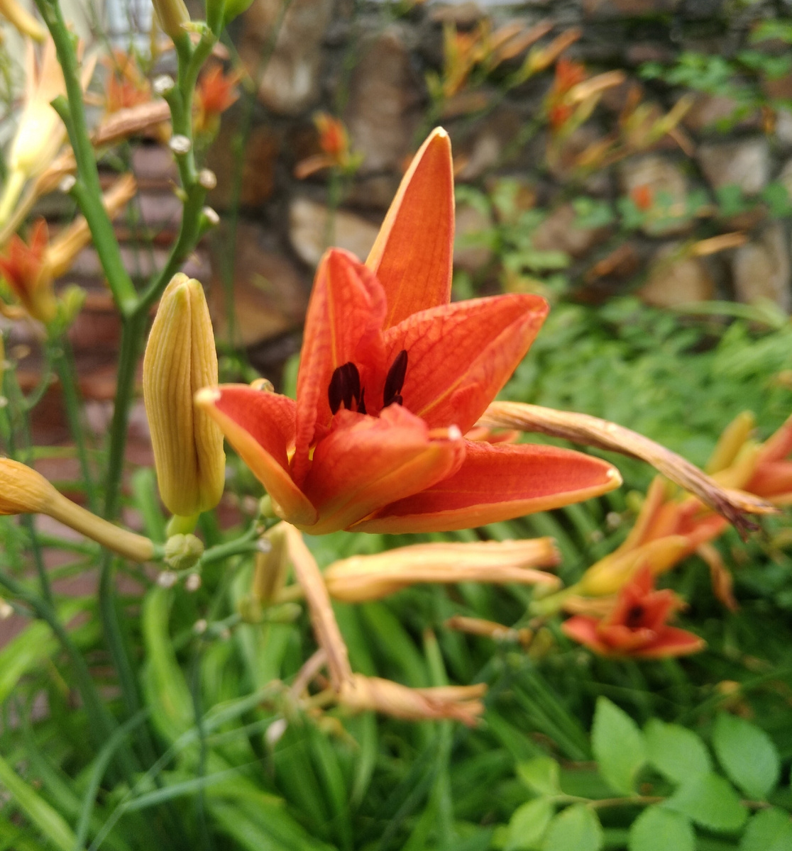 Великие приключения происходят от малых причин А.В. Суворов