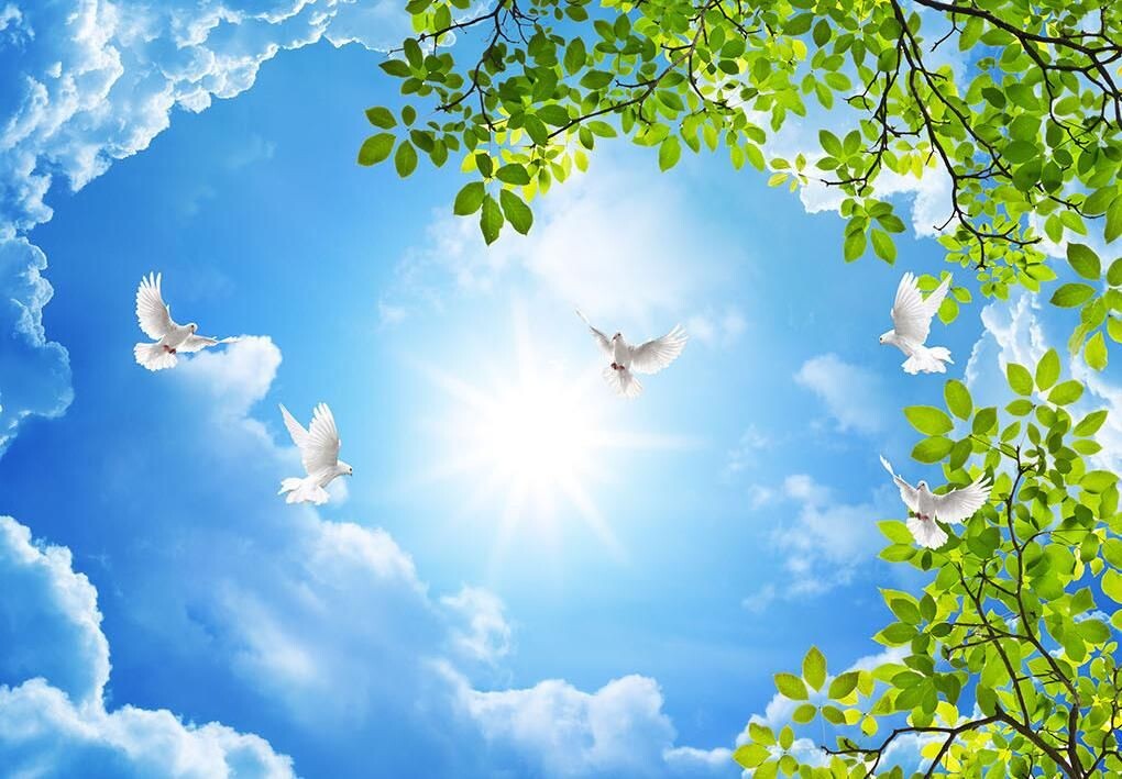 Пусть будет мир