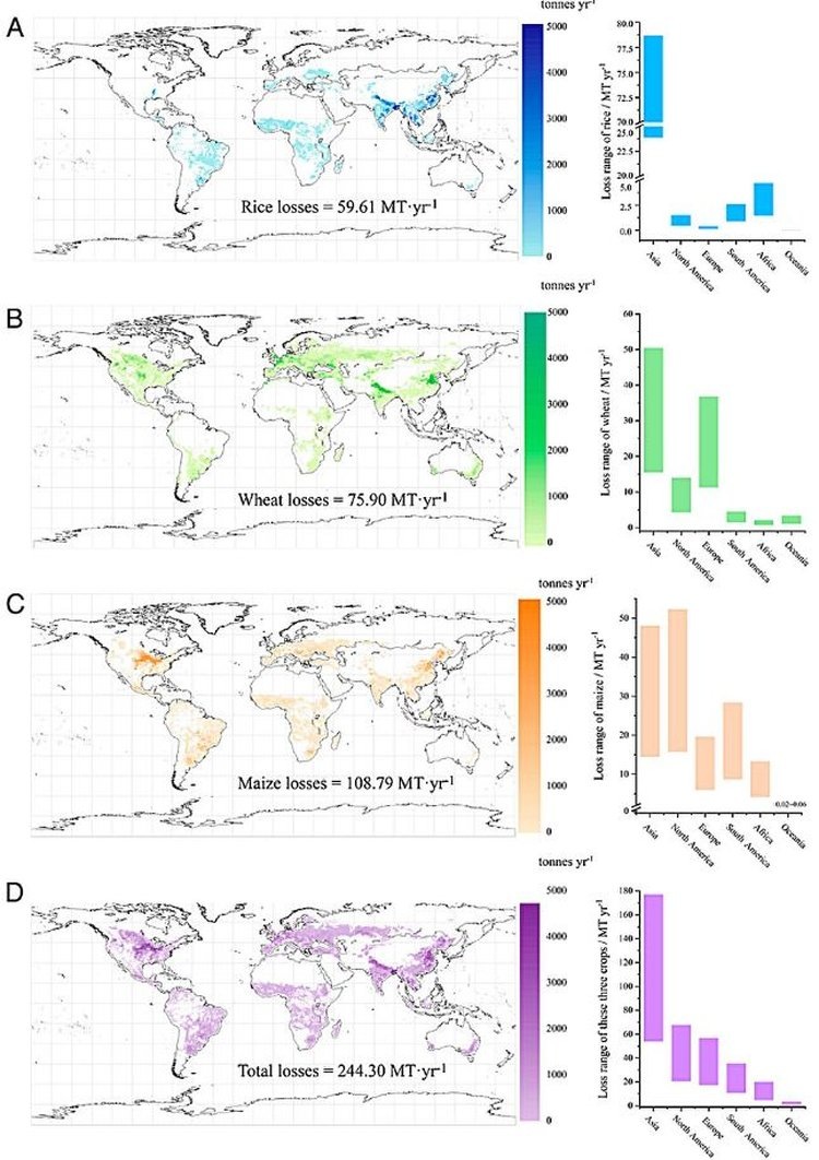     Микропластиковое загрязнение планеты все больше мешает фотосинтезу
