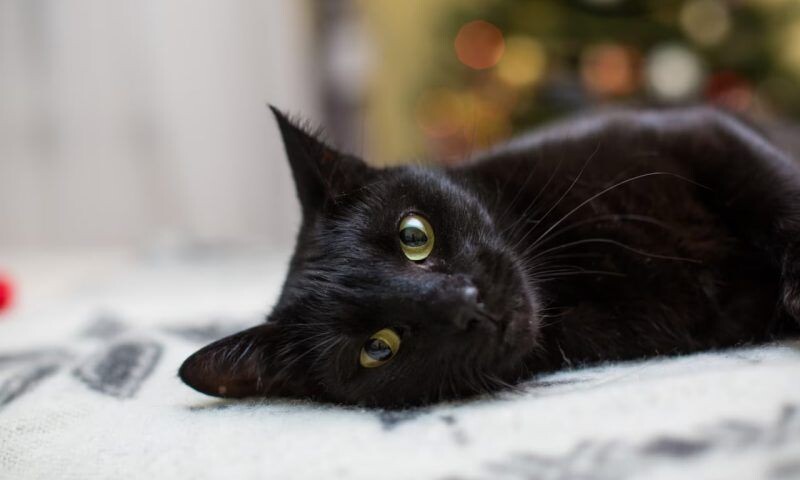    Фото freepik.com