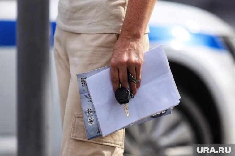 Водительские права необходимо обновлять каждые 10 лет. Фото: Екатерина Сычкова © URA.RU