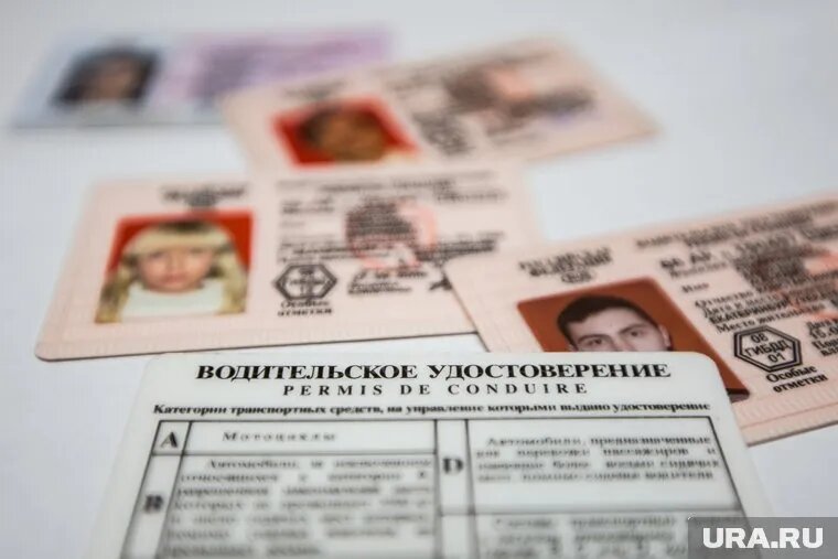 Права можно поменять еще до истечения их срока. Фото: Александр Мамаев © URA.RU