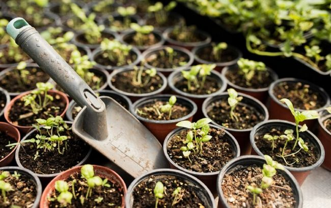 Фото: https://ru.freepik.com/author/freepik