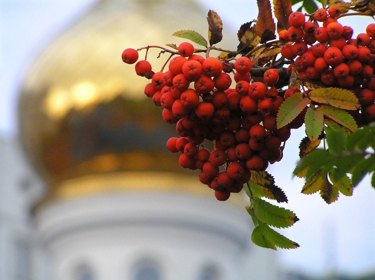 фото с сайта стихи.ру ( Марина Жукова)
