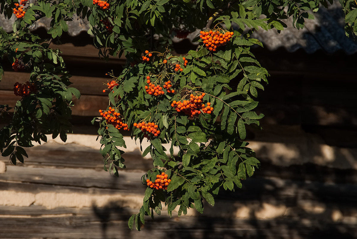 fotokto.ru Андрей Гр