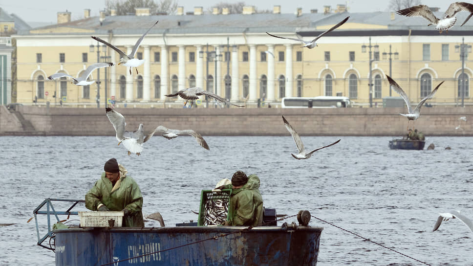 Фото: Сергей Рыбежский / Коммерсантъ