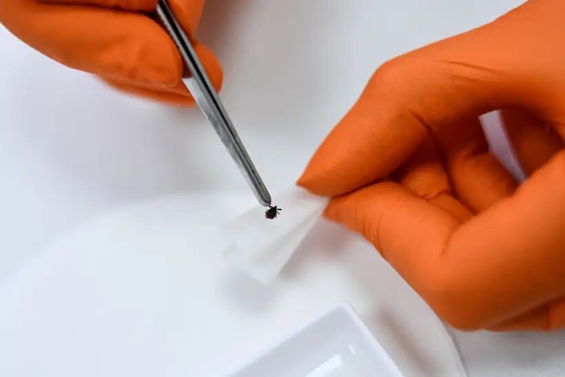     © РИА Новости. Павел Лисицын