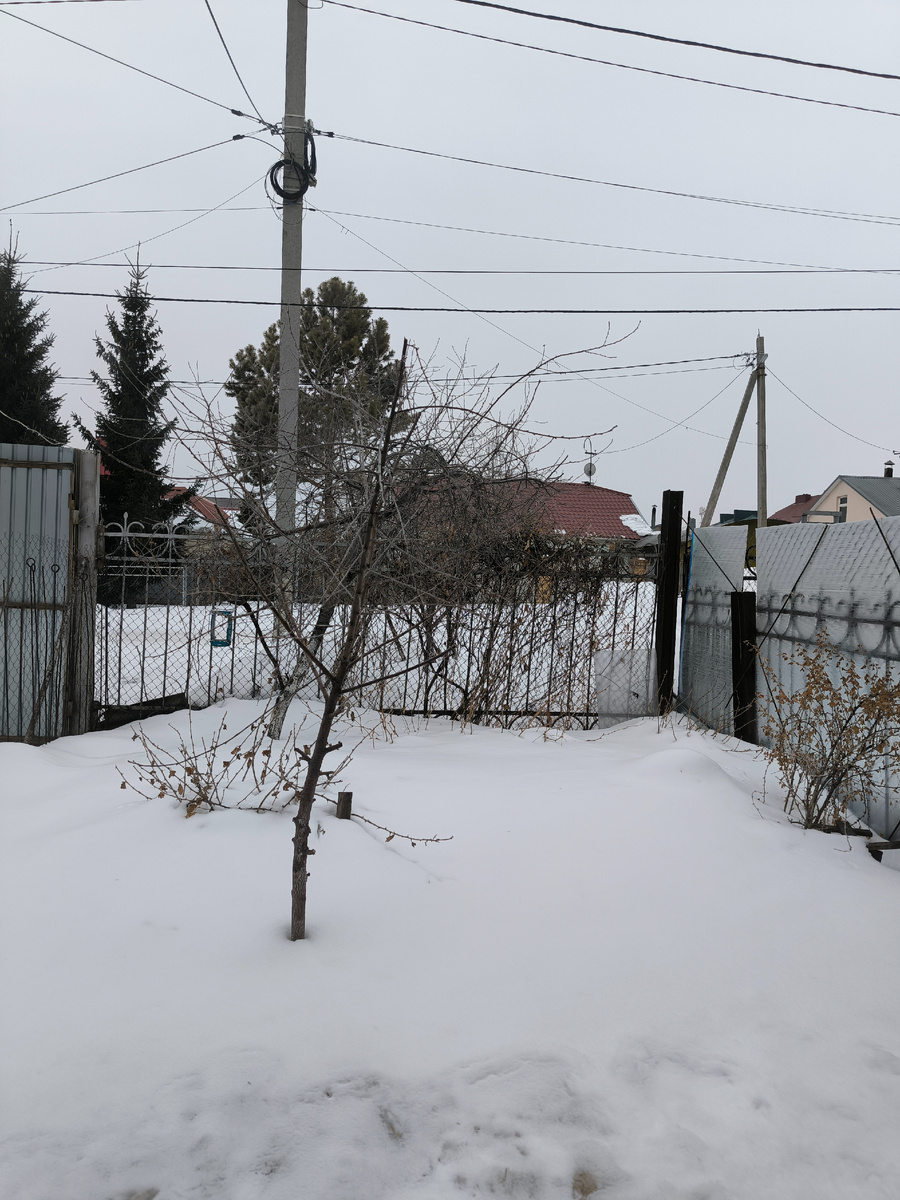 Вид из окна