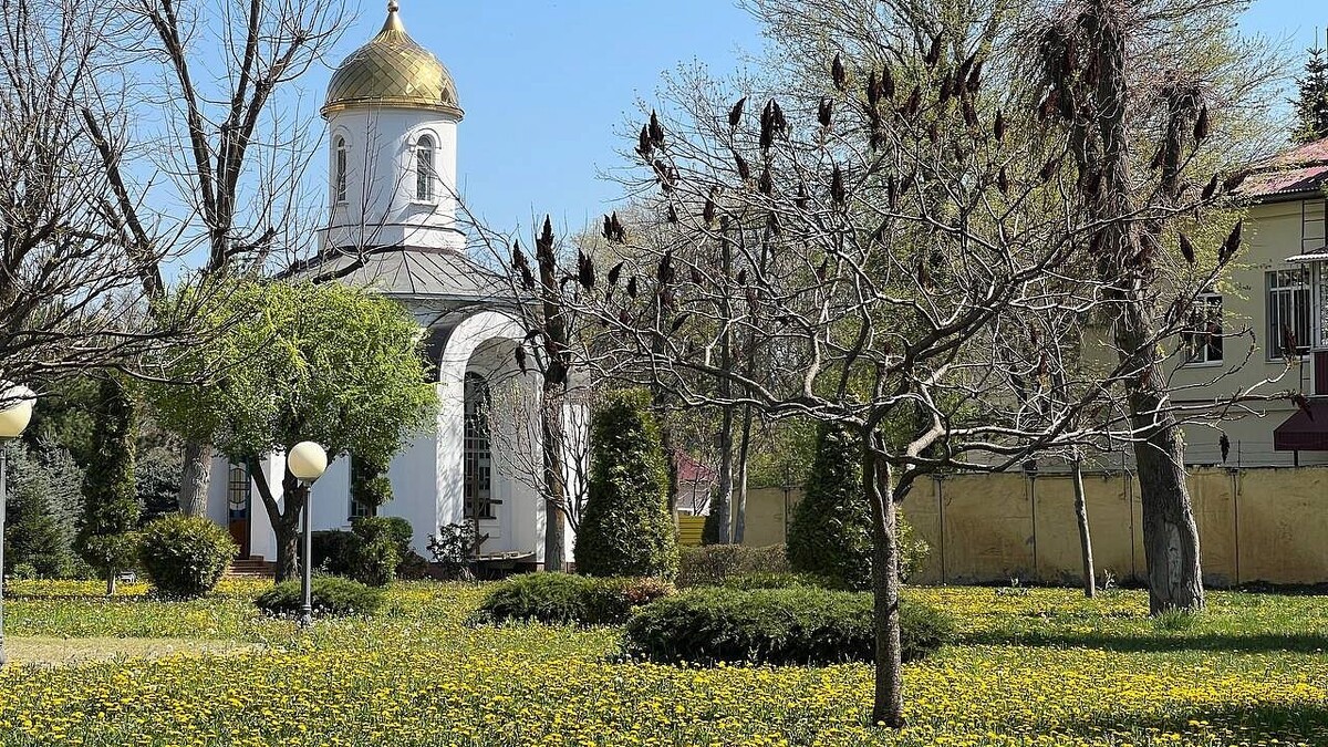    Фото: телеканал «Краснодар»