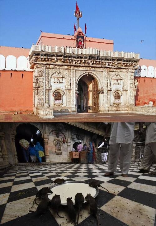 Храм Карни Мата