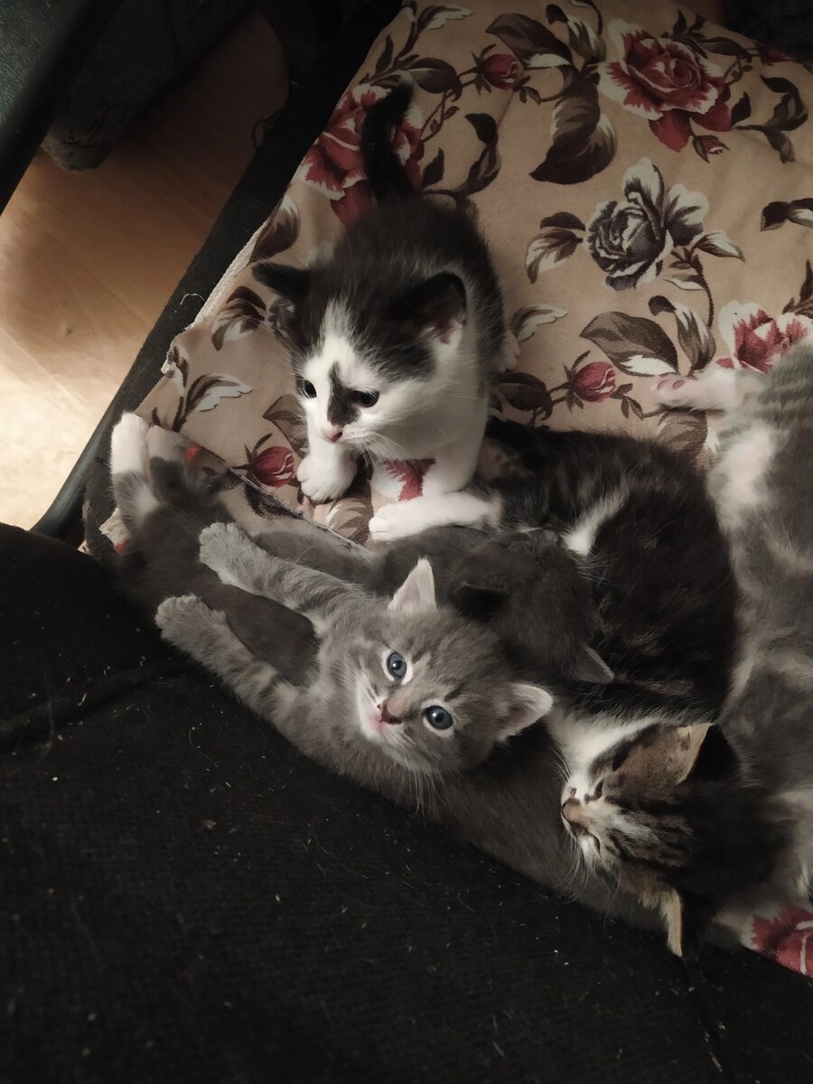 Личное фото автора канала 