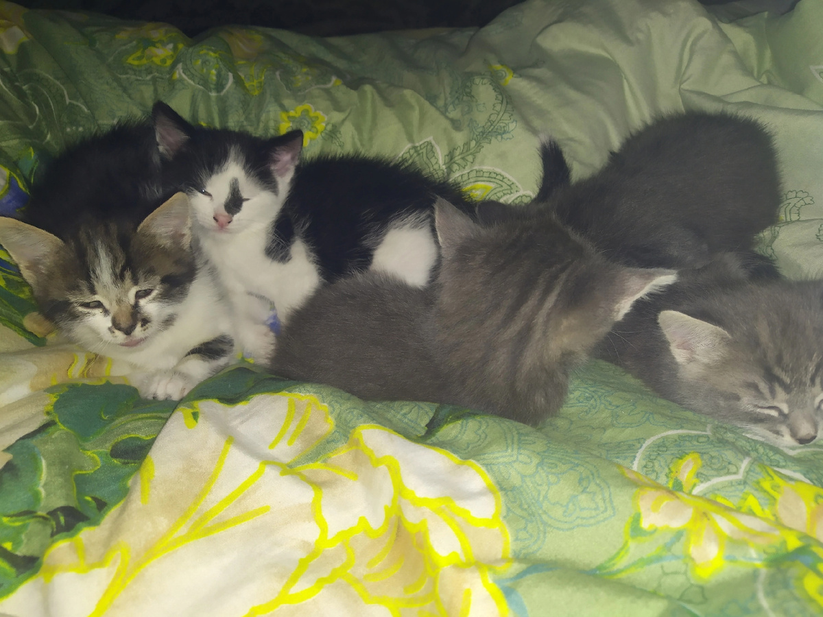 Личное фото автора канала