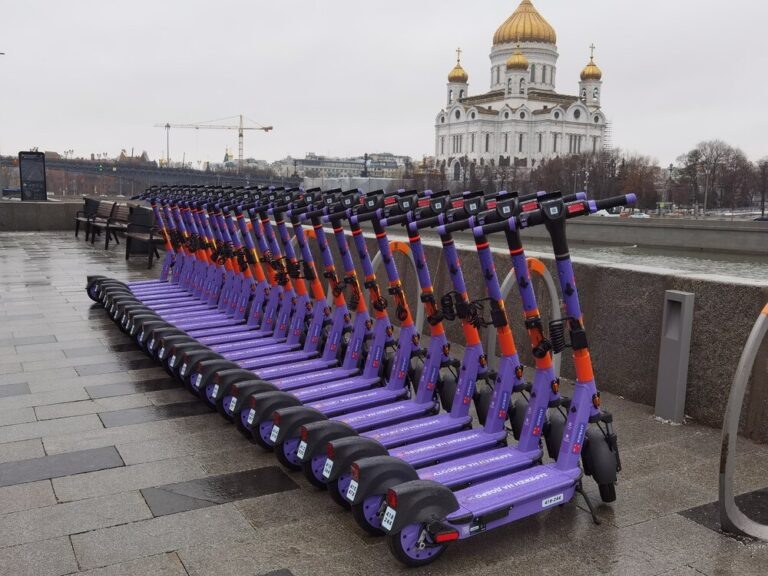    Фото: Агентство «Москва»/Авилов Александр Александра Горохова