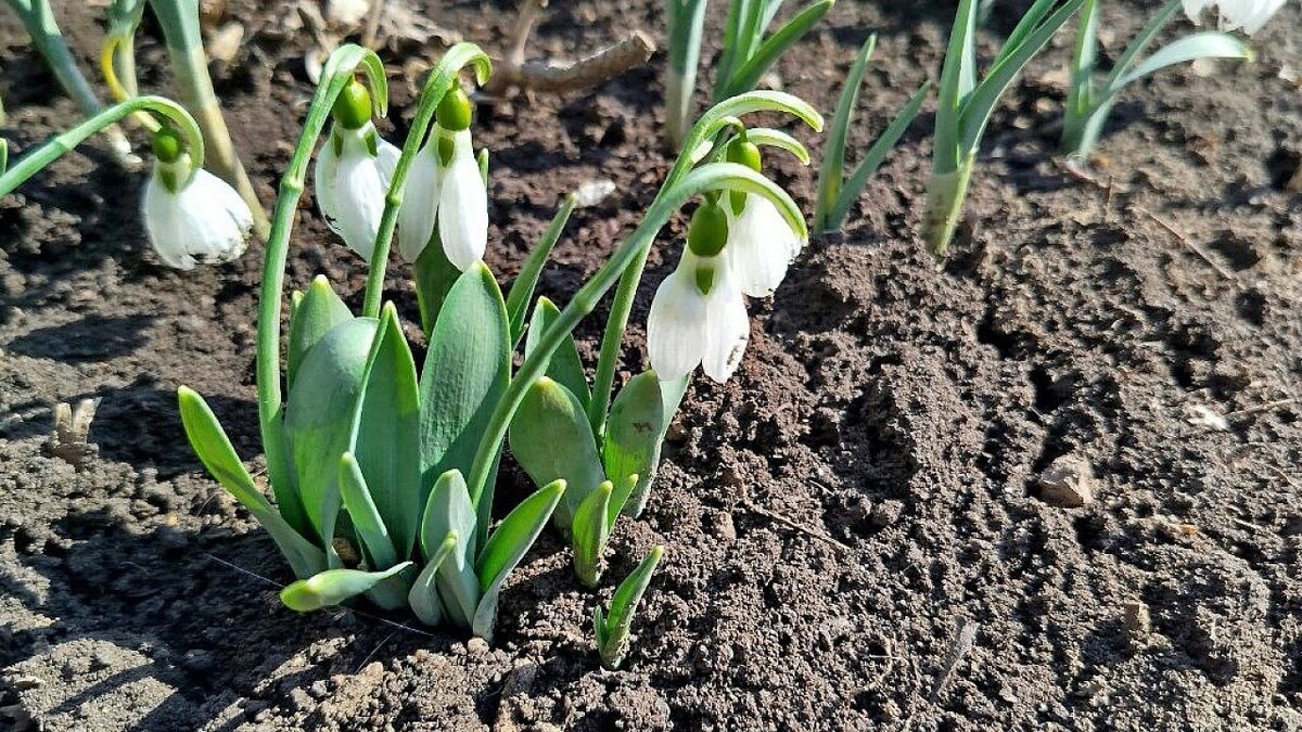    Фото: телеканал «Краснодар»
