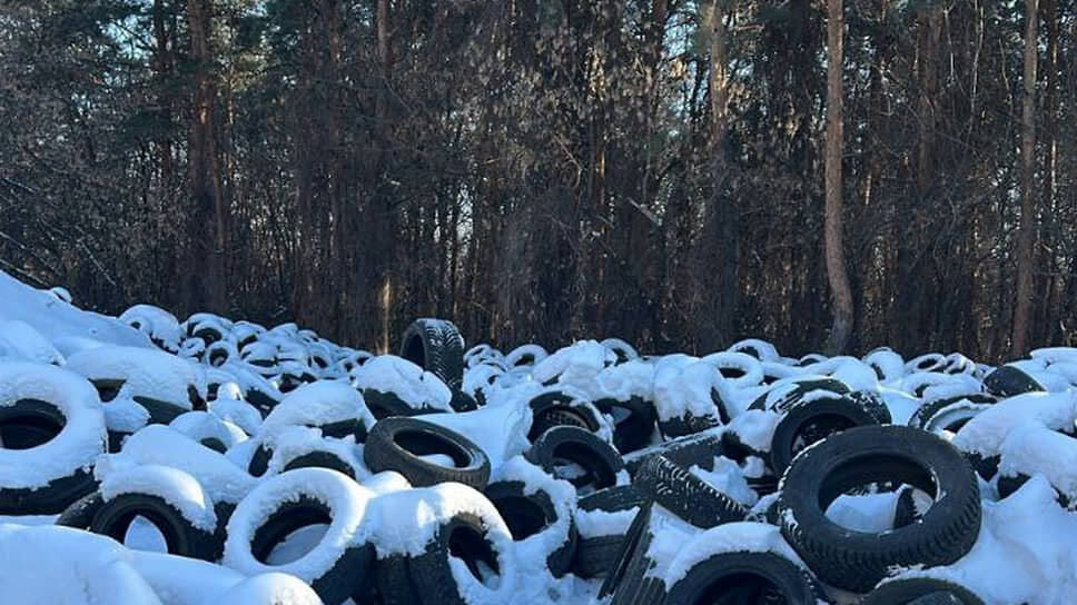 Фото: Пресс-служба министерства природных ресурсов и экологии Воронежской области