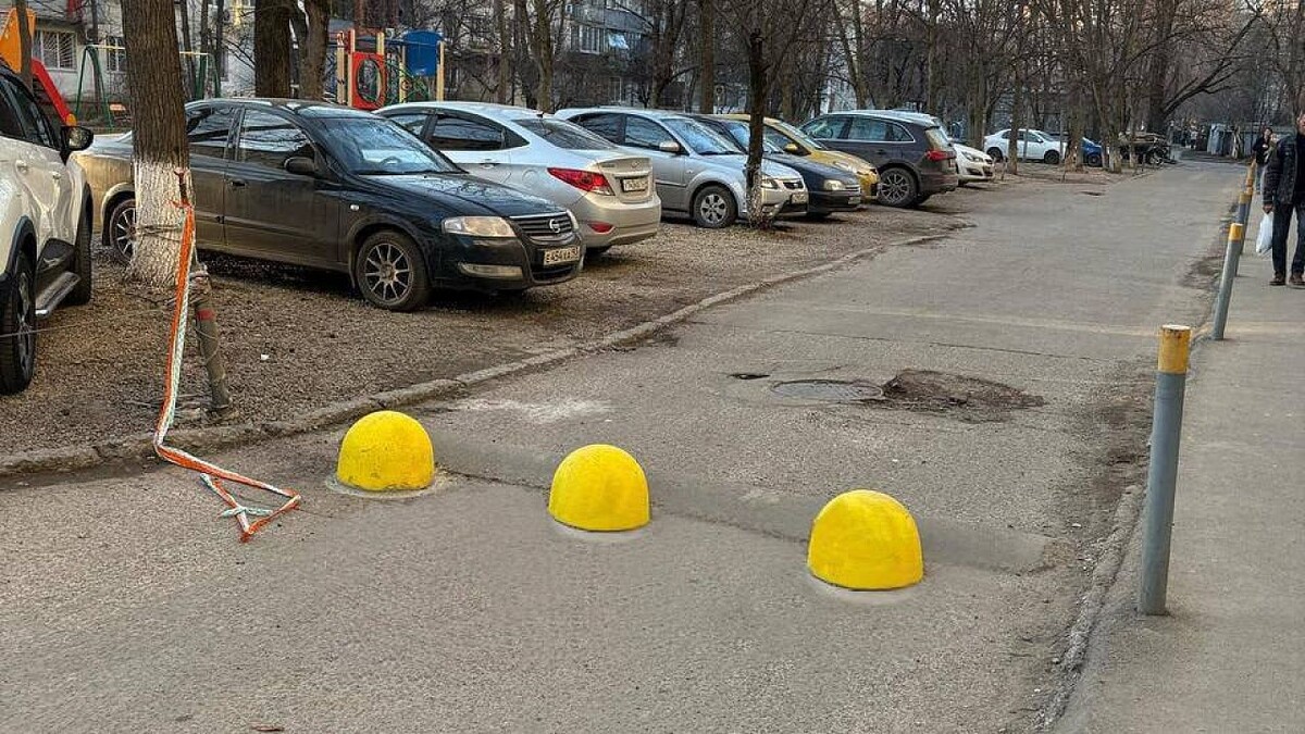    Фото: t.me/emnaumov