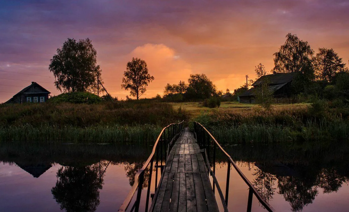 Яндекс картинки