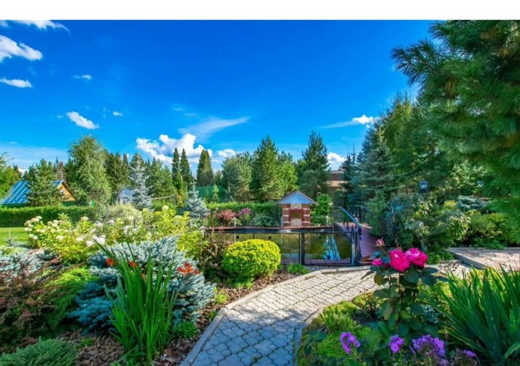 На территории находится пруд. Фото: сайт «Авито«