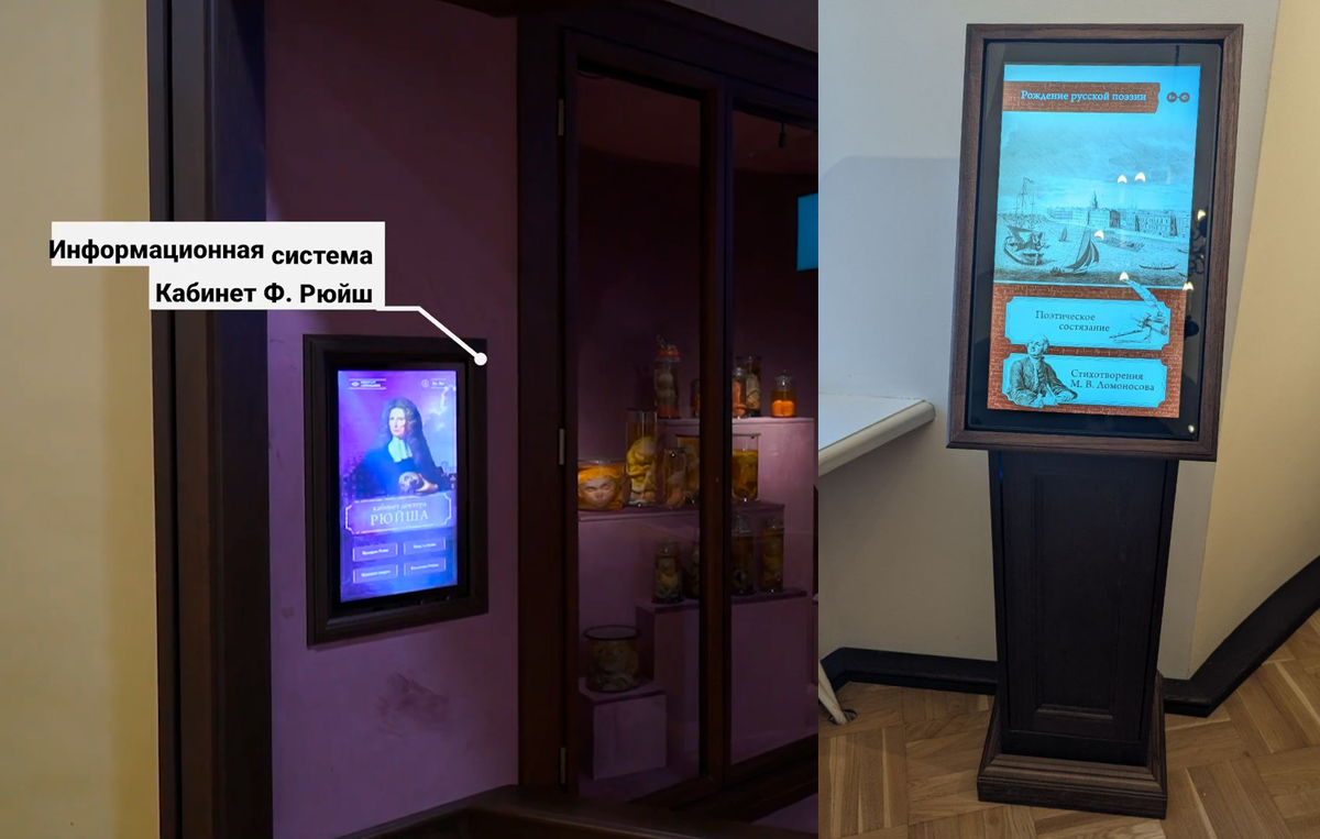 Интерактивные панели в Кунсткамере