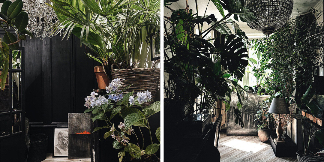 Городские джунгли: ремонт в подмосковной однушке, где уместились 400 растений