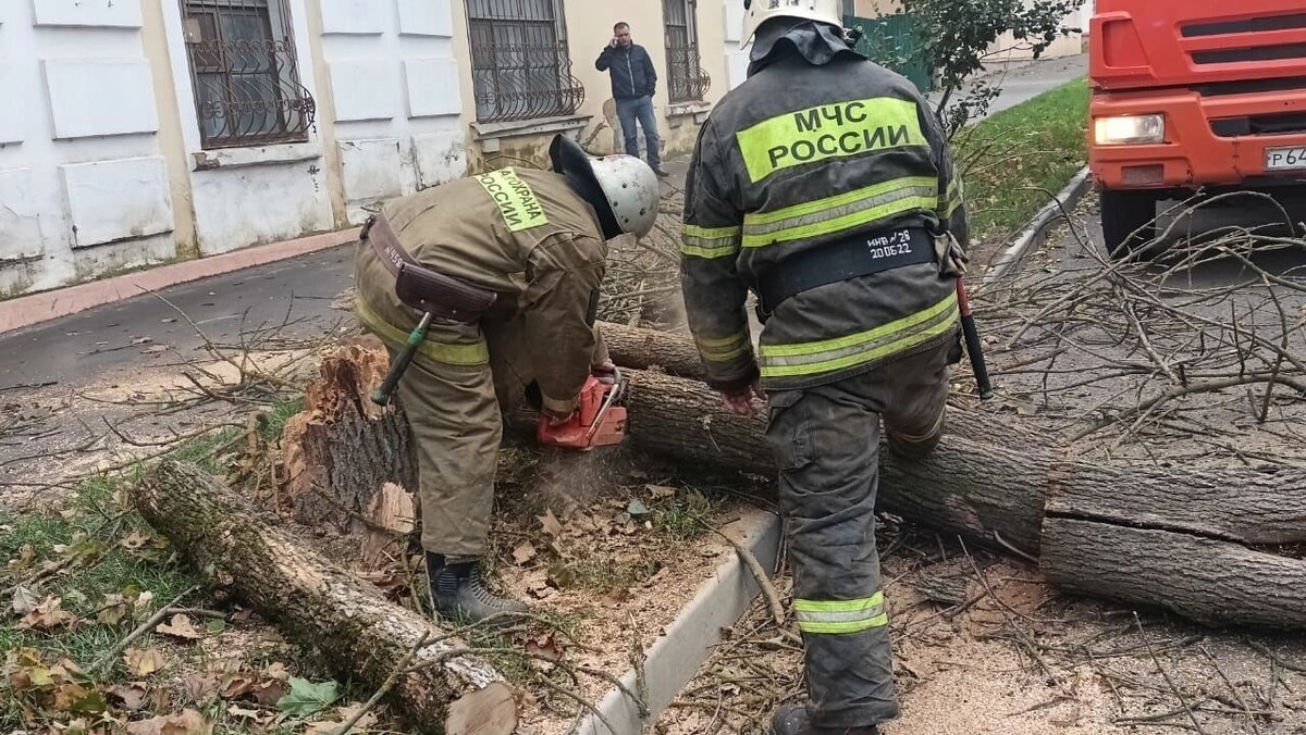     Автор: 71.mchs.gov.ru