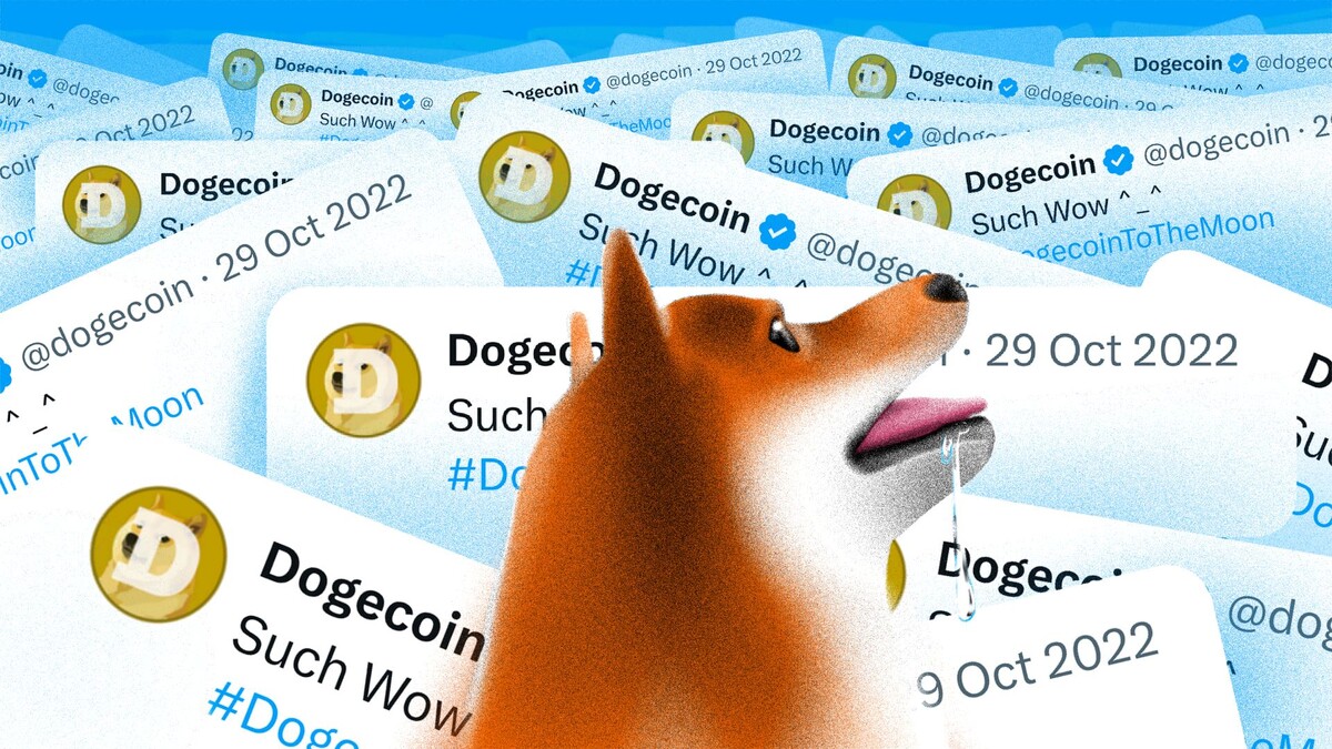 DOGE COIN