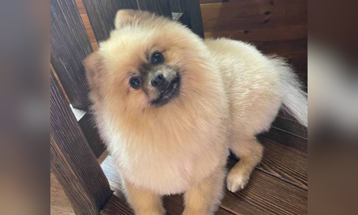    Фото: sunshine__pm