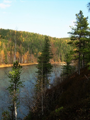 Фото Татьяны Немшановой. Река Манья. Приполярный Урал. Восточный склон. Северная тайга. Манья Чигим. Осень 2008 год