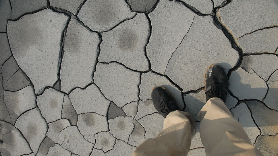 Фото: Александр Кряжев / Коммерсантъ