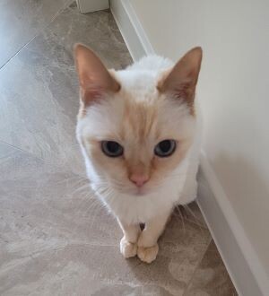 Я! Я свидетель! А что случилось?