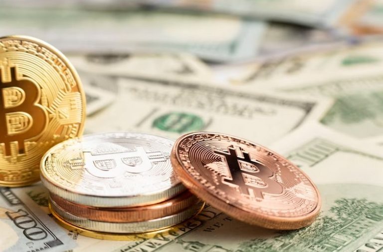    Фото: freepik.com Ксения Евдокимова