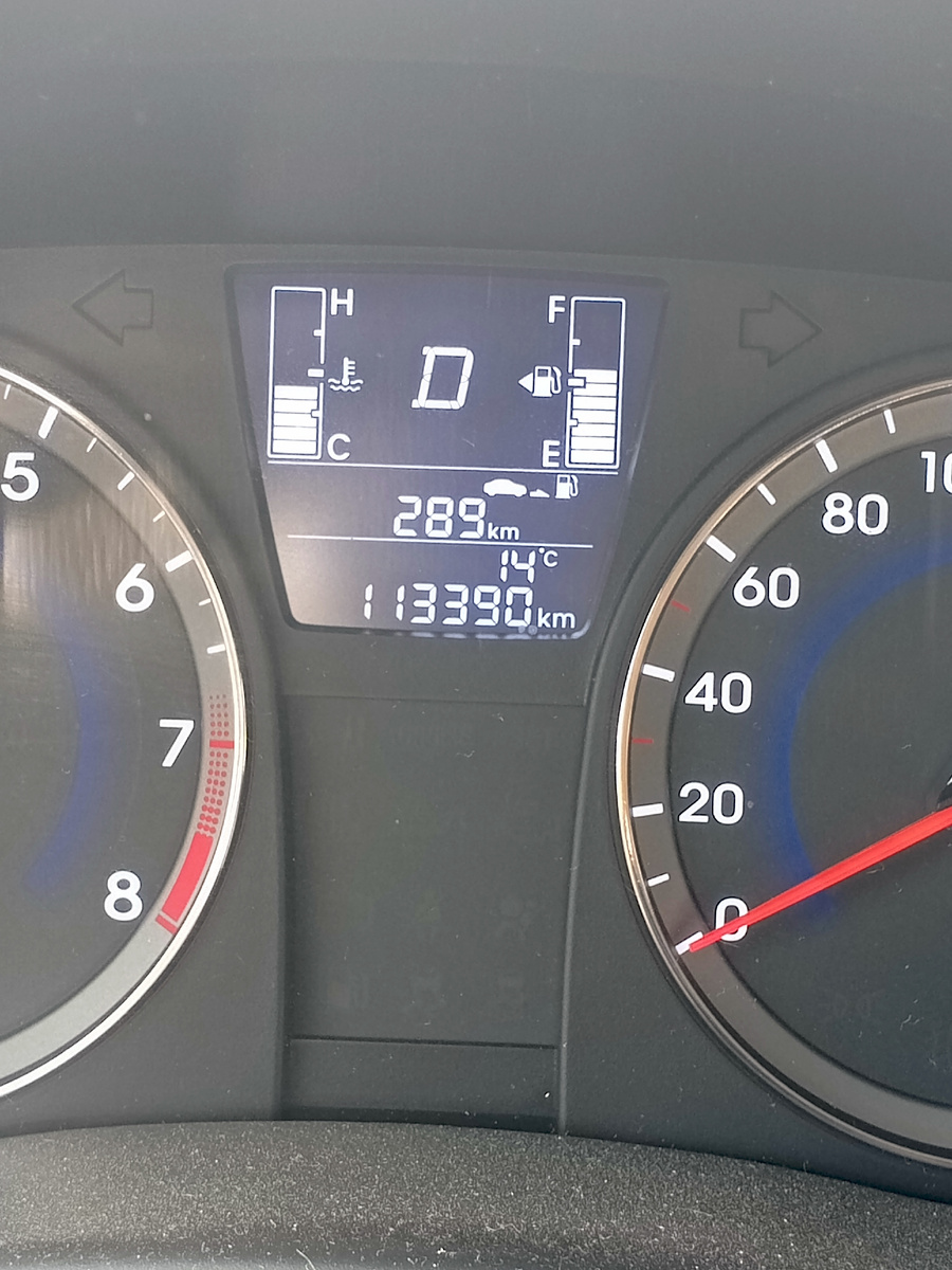 Сегодня +14 в тени