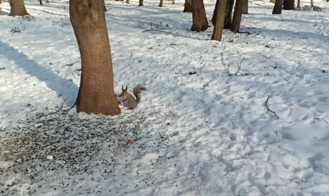 Автор: Первый Тульский, фото "Тульский областной экзотариум"