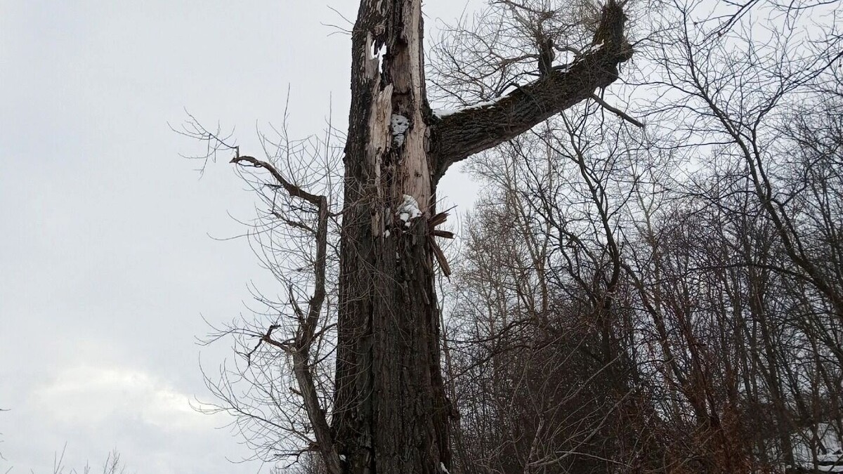     Источник: vk.com/Александр Кондратьев