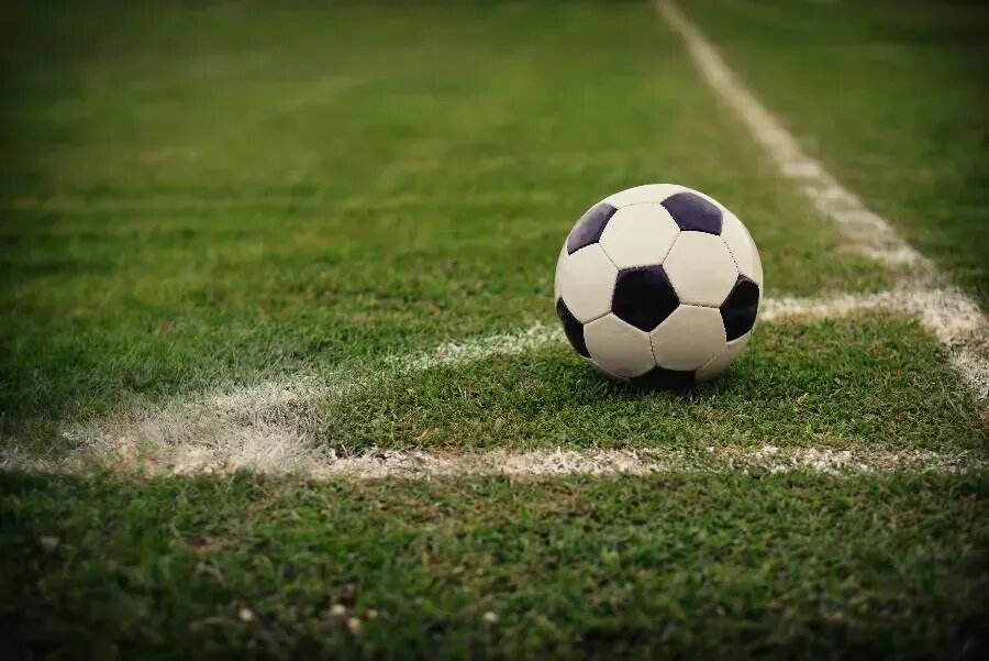 ФОТО Gelner Tivadar on Shutterstock