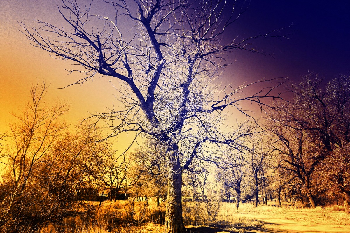 # стихия Юпитера огонь