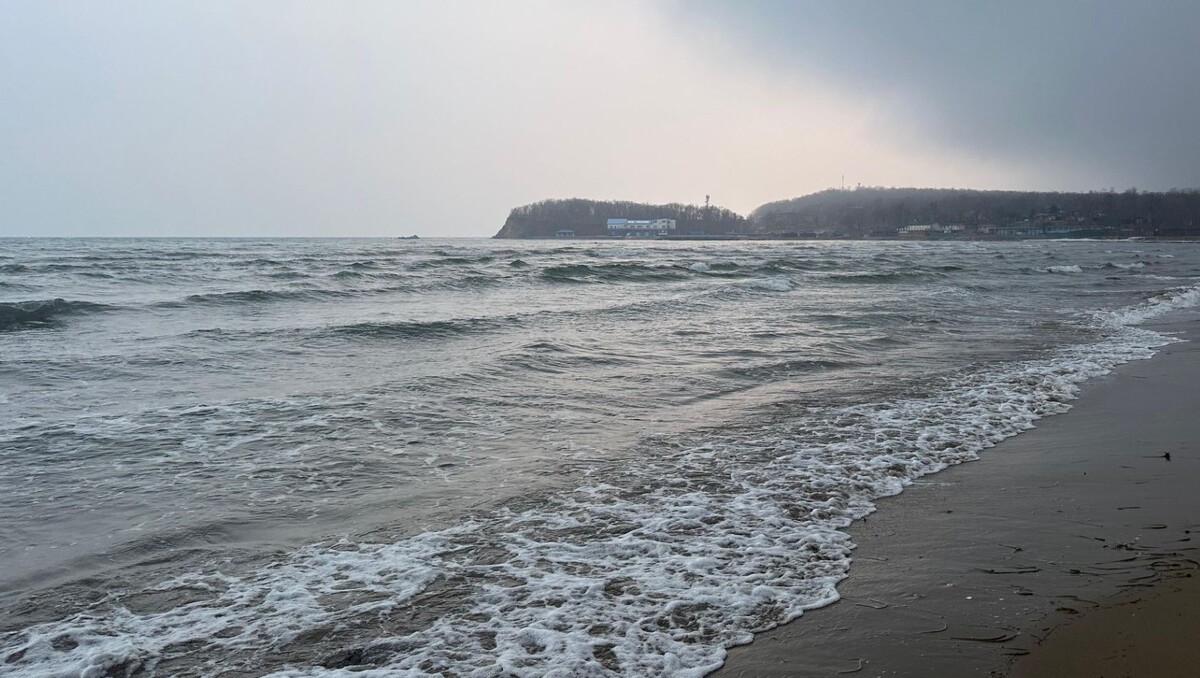     Источник: vostokmedia.com