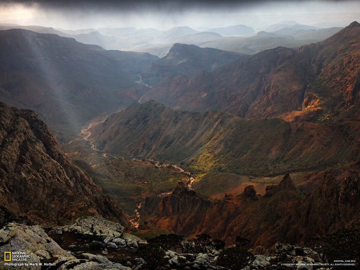 Источник: National Geographic Magazine. Фотограф: Mark W. Moffett.