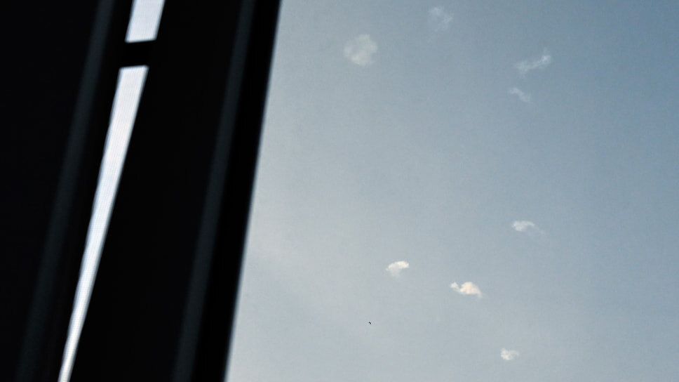 Фото: Анатолий Жданов / Коммерсантъ