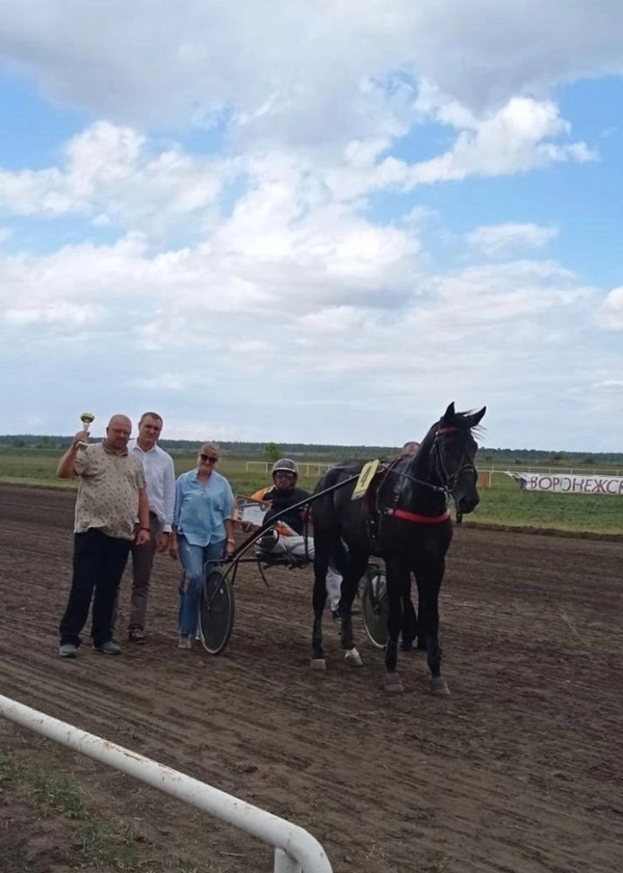Фото: Злынский конезавод