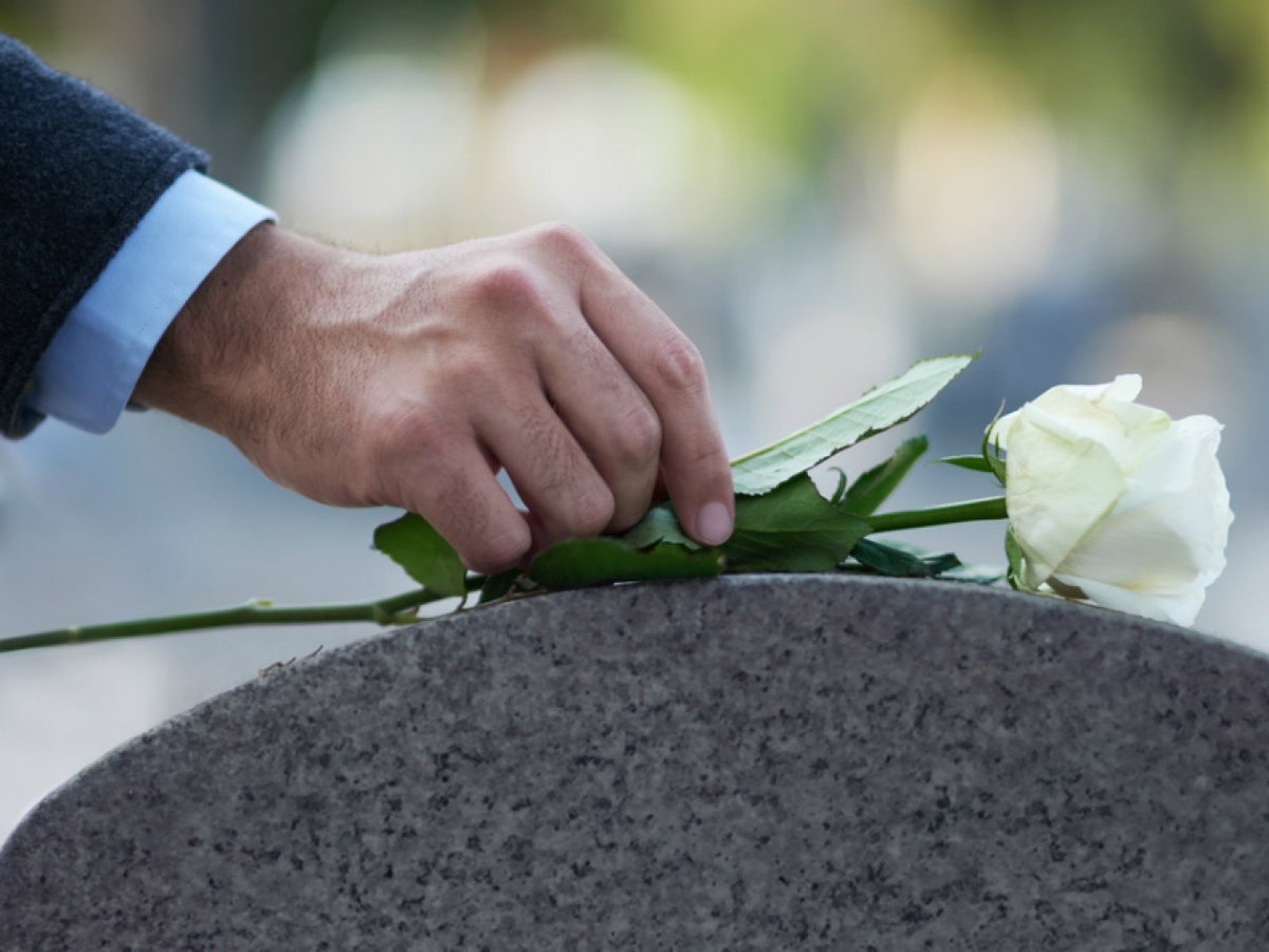 Фото Яндекс картинки.