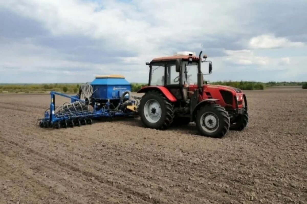    В шести районах Брянской области начались весенние полевые работы